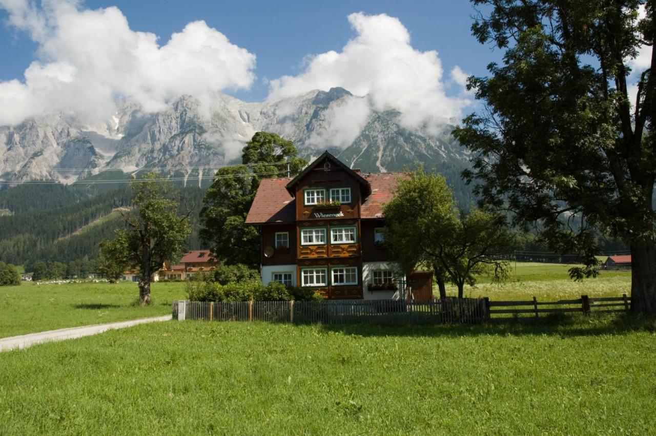Appartements Wieseneck - Ramsau Am Dachstein - Inklusive Sommercard ! Ramsau am Dachstein Buitenkant foto