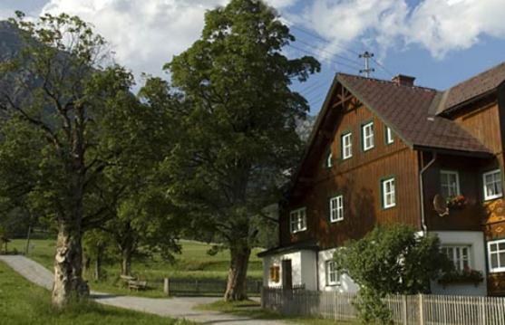 Appartements Wieseneck - Ramsau Am Dachstein - Inklusive Sommercard ! Ramsau am Dachstein Buitenkant foto