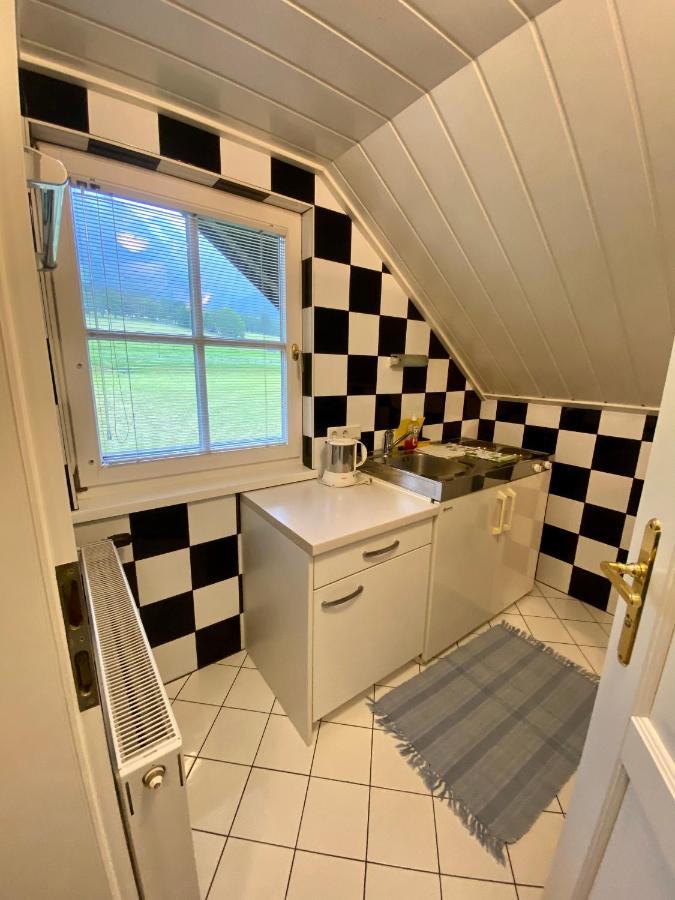 Appartements Wieseneck - Ramsau Am Dachstein - Inklusive Sommercard ! Ramsau am Dachstein Buitenkant foto