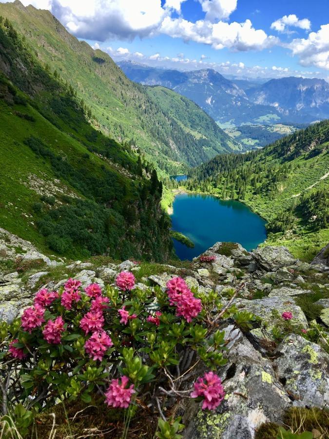 Appartements Wieseneck - Ramsau Am Dachstein - Inklusive Sommercard ! Ramsau am Dachstein Buitenkant foto