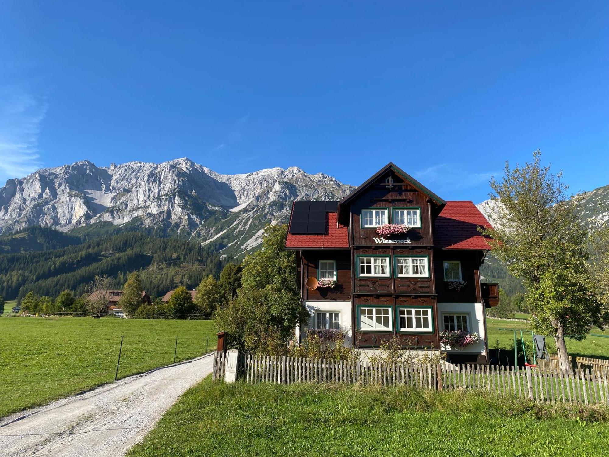 Appartements Wieseneck - Ramsau Am Dachstein - Inklusive Sommercard ! Ramsau am Dachstein Buitenkant foto