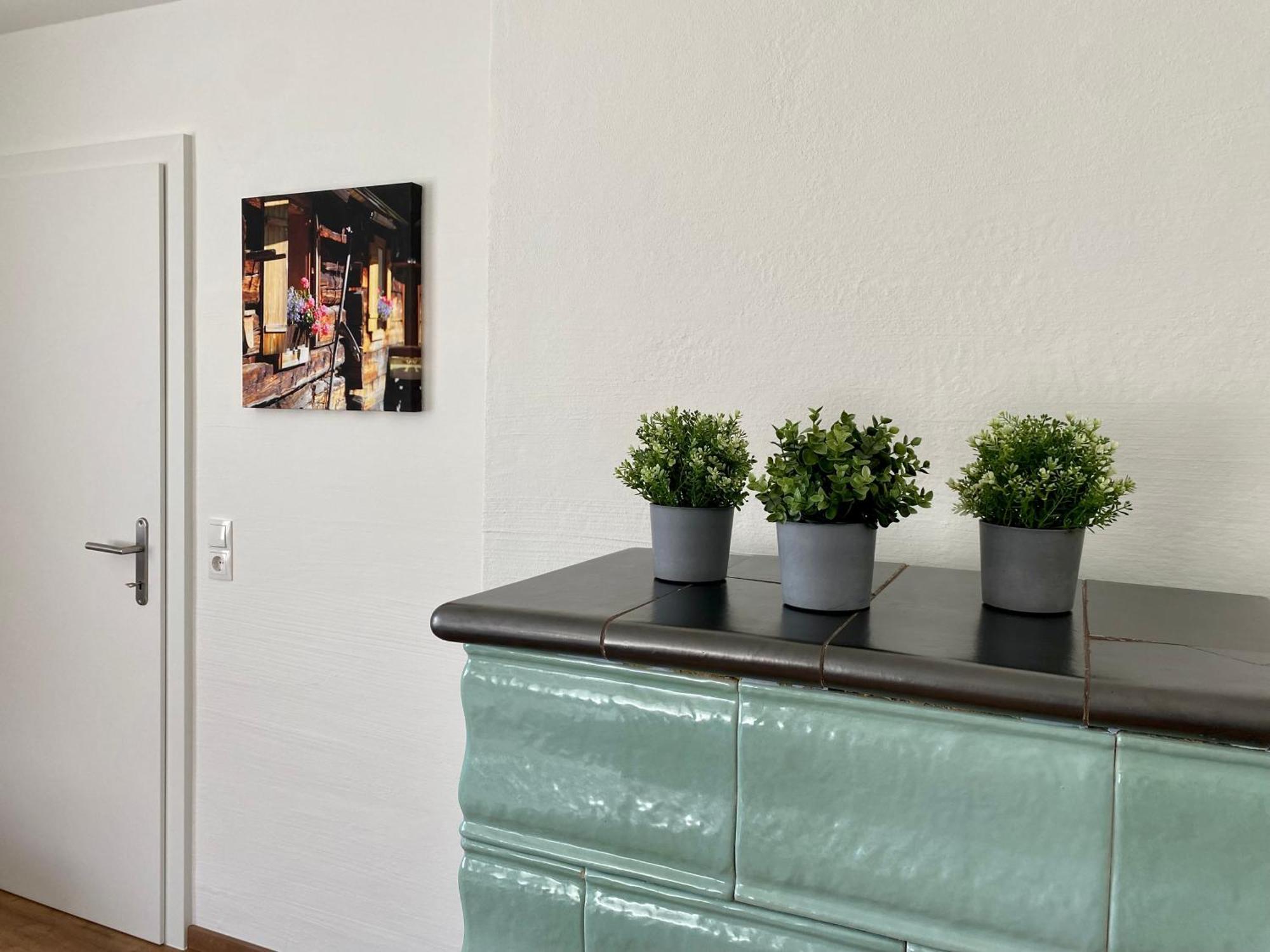 Appartements Wieseneck - Ramsau Am Dachstein - Inklusive Sommercard ! Ramsau am Dachstein Buitenkant foto