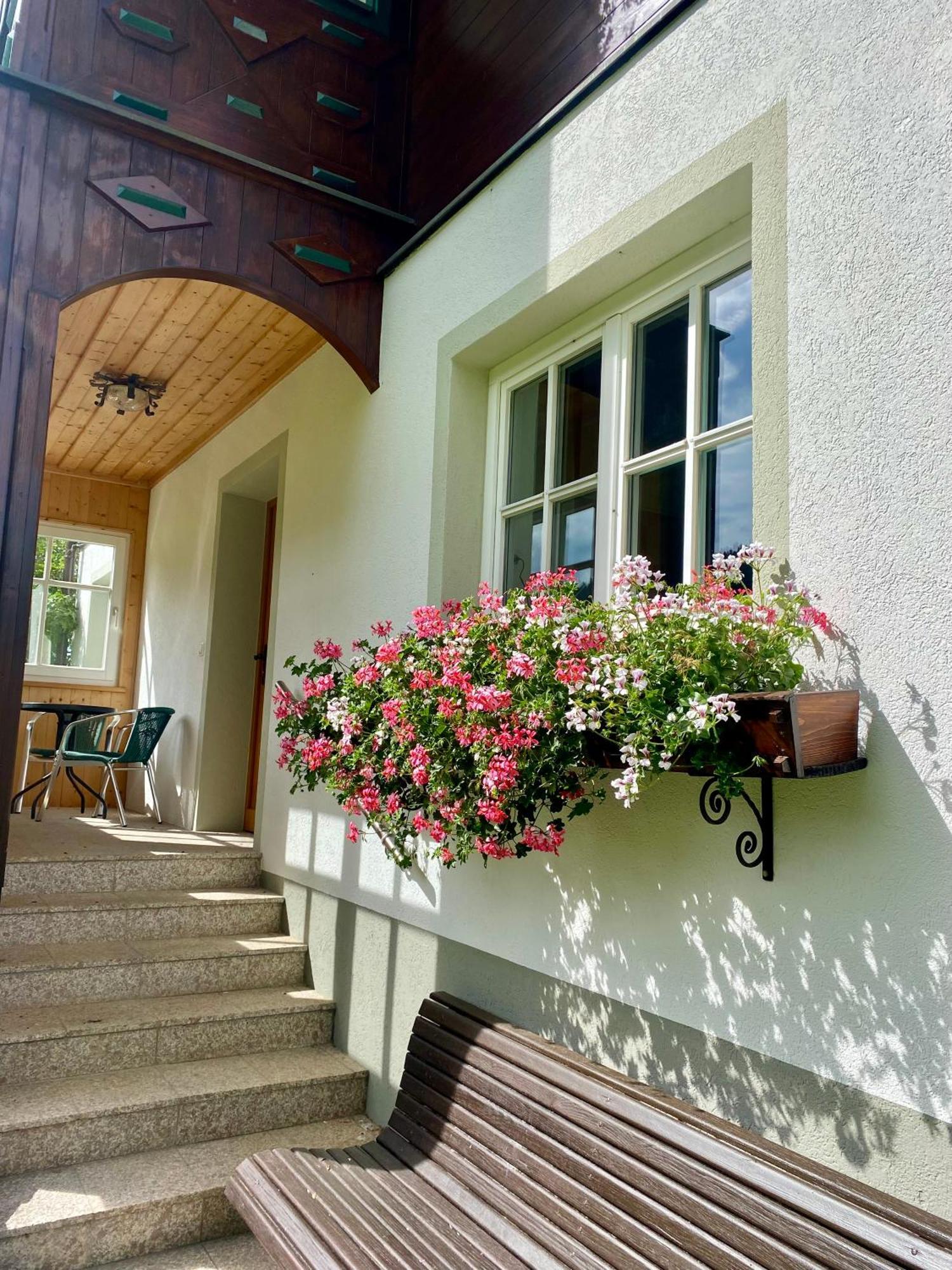 Appartements Wieseneck - Ramsau Am Dachstein - Inklusive Sommercard ! Ramsau am Dachstein Buitenkant foto